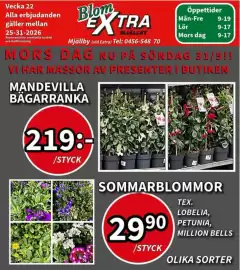 Extra Mjällby Stormarknad reklamblad vecka 22 Sida 13