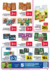 Folleto Carrefour Página 49