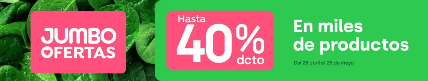 Catálogo Jumbo Página 5