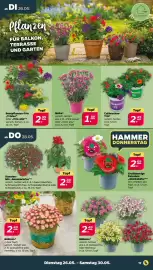 Netto DE folder Pagina 19