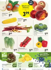 CITTI Markt Prospekt woche 22 Seite 13