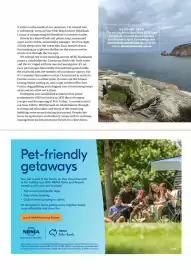 NRMA catalogue Page 39
