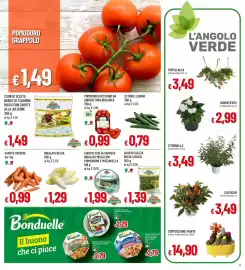 Volantino IperFamila Pagina 5