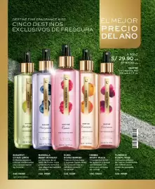 Catálogo L'Bel Página 100