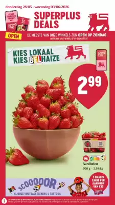 Delhaize folder