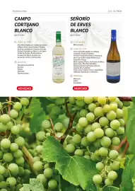Catálogo TransGourmet Página 18