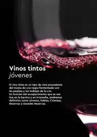 Catálogo TransGourmet Página 23