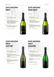 Catálogo TransGourmet Página 7