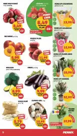 Catalog Penny săptămâna 22 Pagină 9