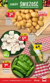 Polomarket gazetka tydzień 22 Strona 17