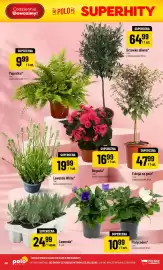 Polomarket gazetka tydzień 22 Strona 60
