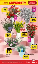 Polomarket gazetka tydzień 22 Strona 61