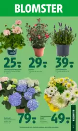 Coop 365 tilbudsavis uge 22 Side 24