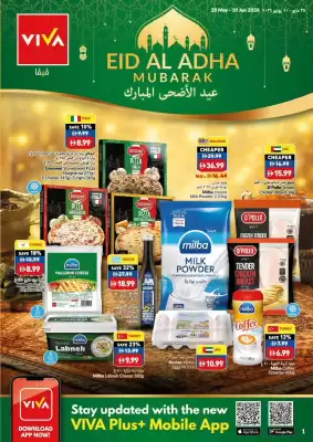 Viva leaflet (valid until 10-06)
