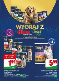 Dino gazetka tydzień 22 Strona 63
