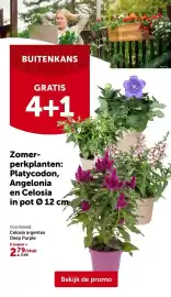 AVEVE folder Pagina 24