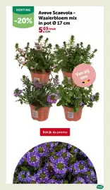 AVEVE folder Pagina 26