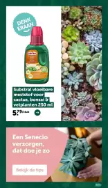 AVEVE folder Pagina 29