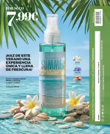 Catálogo Cristian Lay Página 88