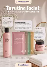 Folleto Alcampo Página 17