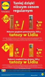 Lidl gazetka Strona 31