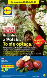 Lidl gazetka Strona 41