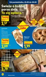 Lidl gazetka Strona 42