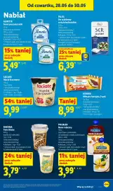 Lidl gazetka Strona 49