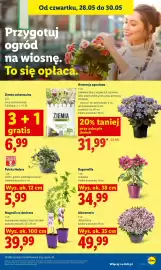 Lidl gazetka Strona 77