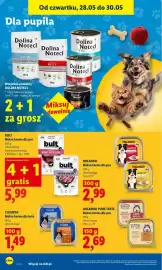 Lidl gazetka Strona 84
