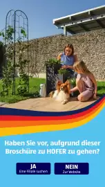 Hofer Flugblatt woche 22 Seite 43