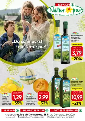 Spar Flugblatt (gültig bis 2-06)