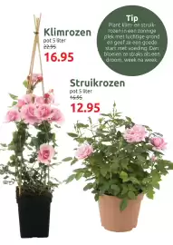 Deka Tuin folder Pagina 8