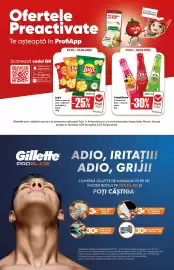 Catalog PROFI Pagină 15