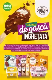 Catalog PROFI Pagină 17