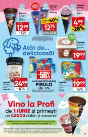 Catalog PROFI Pagină 5