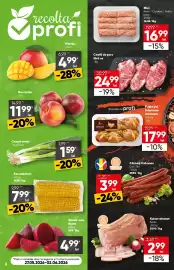 Catalog PROFI Pagină 6