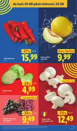 Catalog Lidl săptămâna 23 Pagină 5