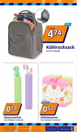 Action Prospekt woche 22 Seite 13
