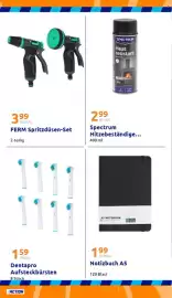 Action Prospekt woche 22 Seite 30