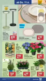 Aldi Nord Prospekt woche 24 Seite 15