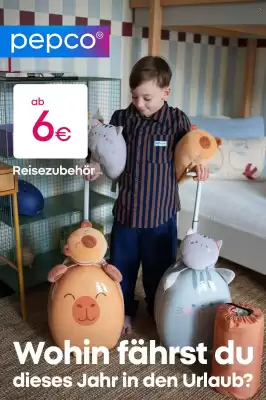 PEPCO (gültig bis 3-06)