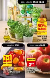 Biedronka gazetka tydzień 22 Strona 25