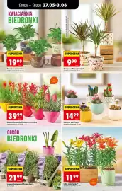 Biedronka gazetka tydzień 22 Strona 68