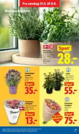 Lidl tilbudsavis uge 23 Side 32