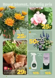 Netto tilbudsavis uge 22 Side 25