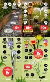 Netto gazetka tydzień 22 Strona 2