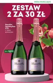 Żabka gazetka Strona 17