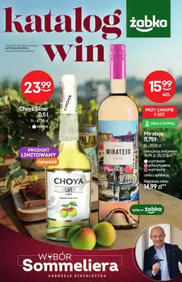 Żabka gazetka (ważność do 9-06)