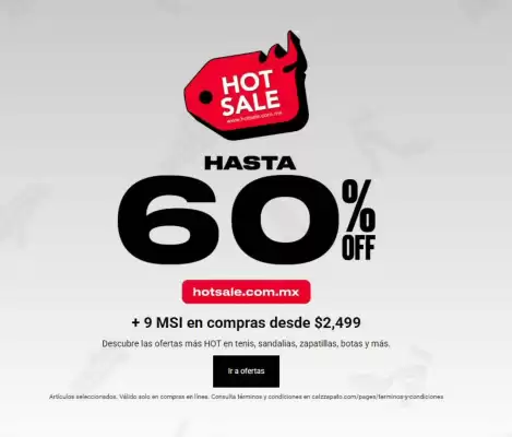 Calzzapato (válido hasta 2-06)